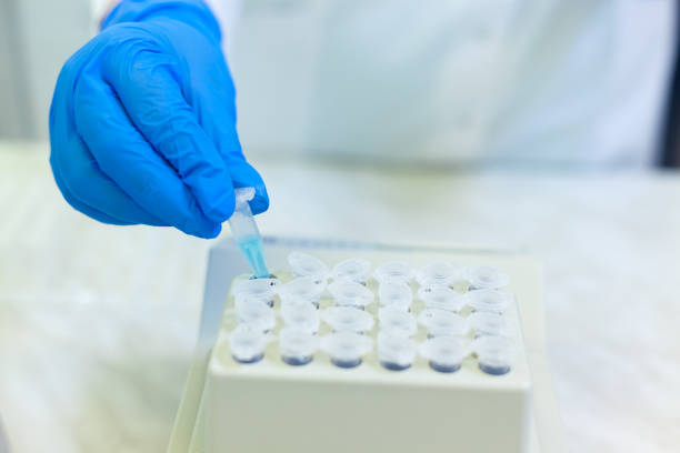 istock Laboratory worker puts samples into a tray making analysis for immunity viruses in a medical laboratory 1209385251