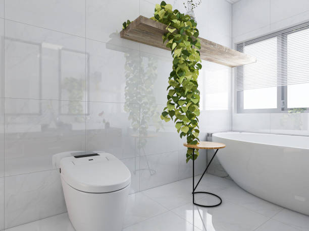 istock D rendering, modern residential clean bathroom design, with washbasins, mirrors, toilets, shower equipment and bathtubs, the sun shines in from the floor window. 1209385308