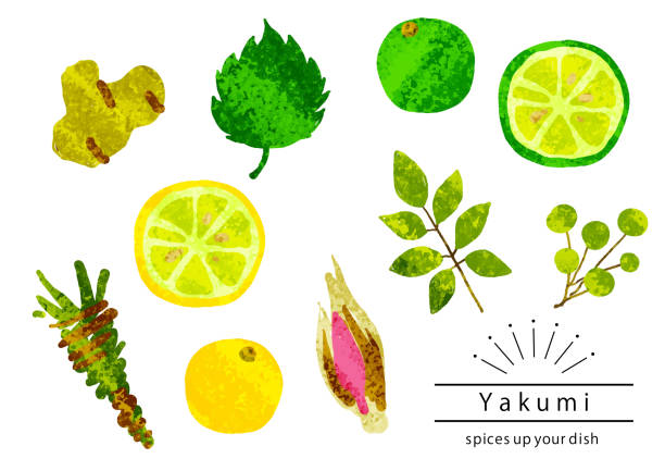 happy vegetables, with painted like texture happy vegetables, with painted like texture zanthoxylum stock illustrations