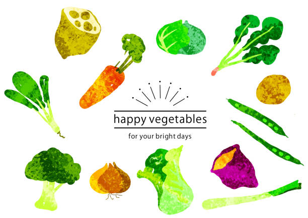 ilustrações de stock, clip art, desenhos animados e ícones de happy vegetables, with painted like texture - white background freshness spinach vegetable