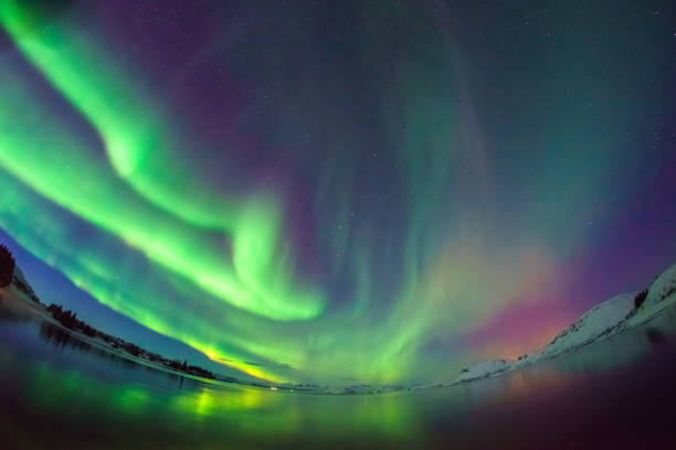 istock Mixed colorful aurora borealis dancing over the sky 1209390849