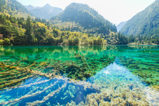 istock Travel in China, Chinese elements, Chinese scenery 1209398131