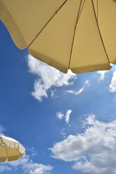 parasols et ciel bleu - parasol pine photos et images de collection