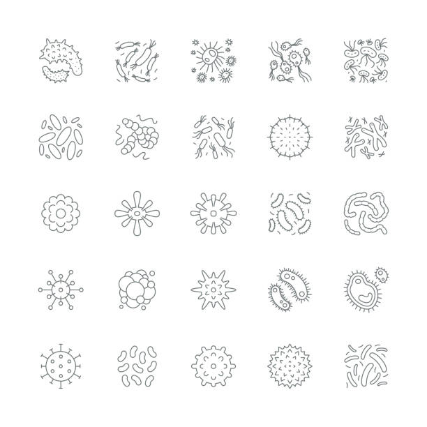 Virus cell icons Virus cell icons,vector illustration.
EPS 10. human cell illustrations stock illustrations