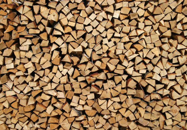 istock birch firewood stacked in a woodpile 1209406887