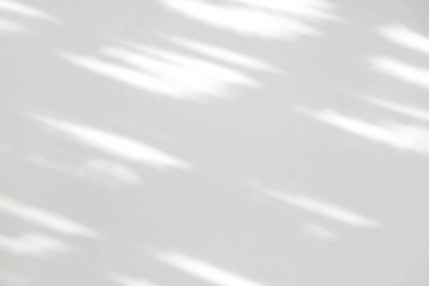 istock Leaves natural shadow overlay on white texture background, for overlay on product presentation, backdrop and mockup 1209407180