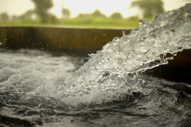 Running tubewell fresh water in fields during summer