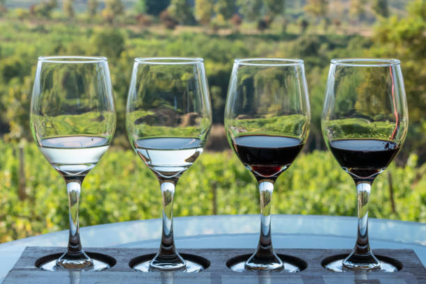 istock Row of wine glasses by vineyard 1209408679