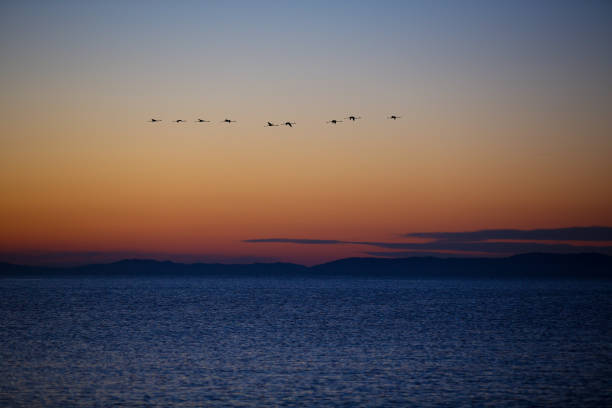 istock Bay of Saint Tropez 1209409655