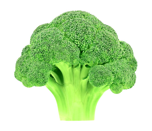 istock Broccoli fresh vegetable whole isolated on white background with clipping path. Full depth of field. 1209410217