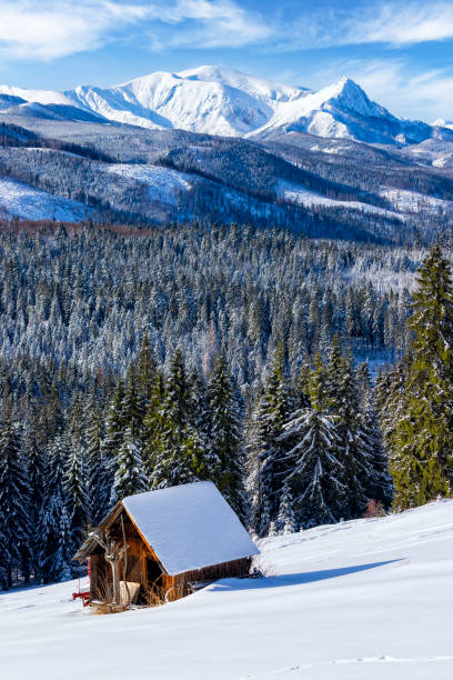 istock Holidays in Poland - Tatra Mountains in winter 1209411072