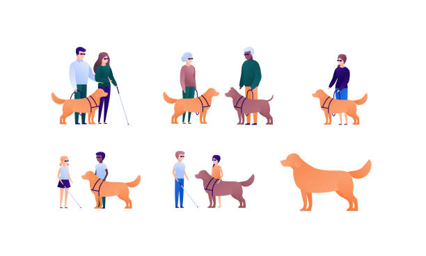 ilustrações de stock, clip art, desenhos animados e ícones de blind people family with assistance dog concept. vector flat person illustration set. collection of people of different nationality and age. design element for banner, poster. background, infographic. - old cane isolated on white white background