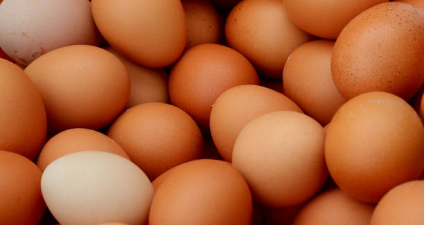 istock Many eggs of hen 1209417977