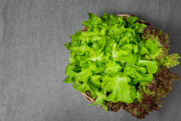istock Green oak and red oak in basket on concrete table. 1209419737