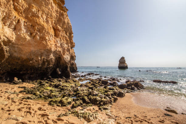 istock Beach of camilo 1209420989