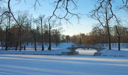 winter landscape with bridge in city park, Gatchina, Russia