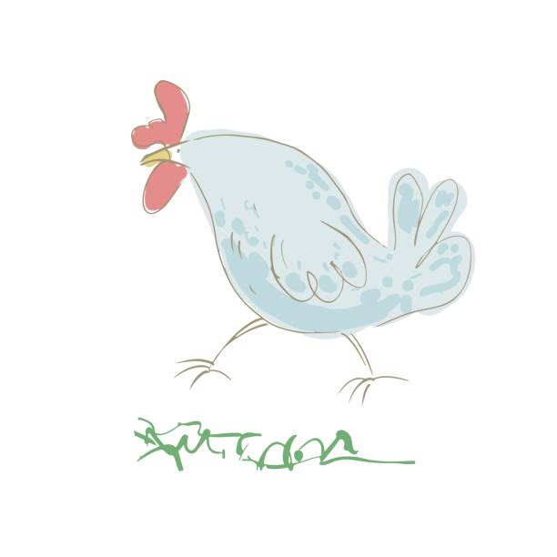 Funny hen in the meadow. Vector illustration. Funny hen in the meadow. Vector illustration. scared chicken cartoon stock illustrations