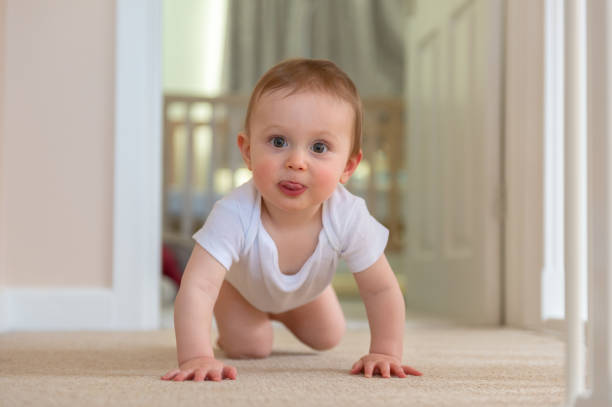 istock Baby boy 9 months old crawling on floor 1209423538