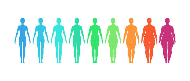 BMI female infographics BMI concept. Female body mass index vector illustration. Body shapes from underweight to extremely obese infographic silhouettes stock illustrations