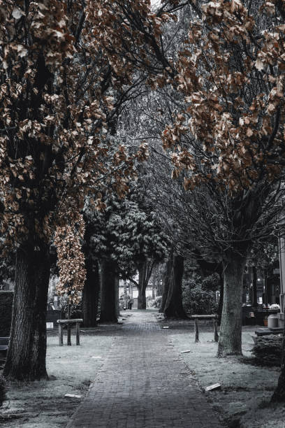 Cemetery photography