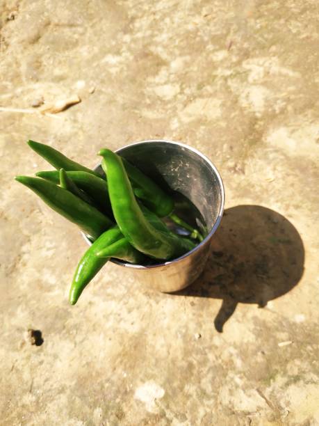 istock Hot chilli pepper in white ceramic pot with white background. Green natural 1209428021