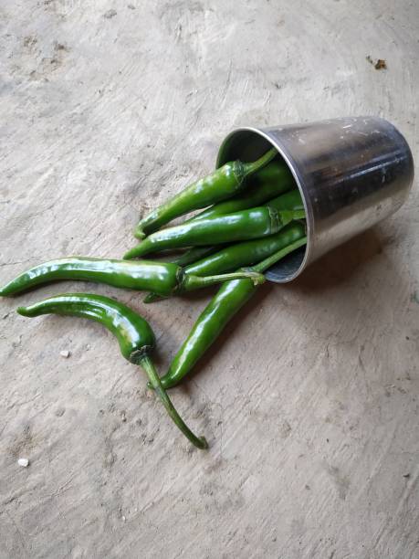 istock Hot chilli pepper in white ceramic pot with white background. Green natural 1209428026