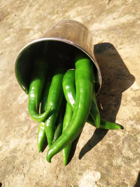 istock Hot chilli pepper in white ceramic pot with white background. Green natural 1209428034