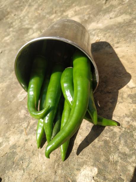 istock Hot chilli pepper in white ceramic pot with white background. Green natural 1209428039