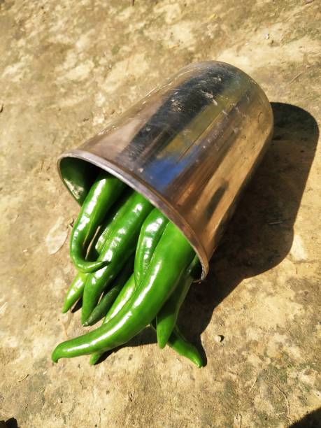 istock Hot chilli pepper in white ceramic pot with white background. Green natural 1209428048