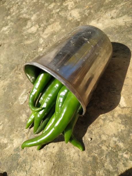 istock Hot chilli pepper in white ceramic pot with white background. Green natural 1209428053