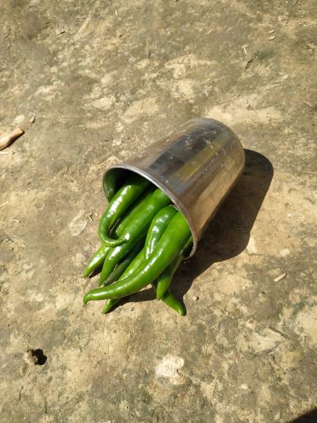 istock Hot chilli pepper in white ceramic pot with white background. Green natural 1209428081