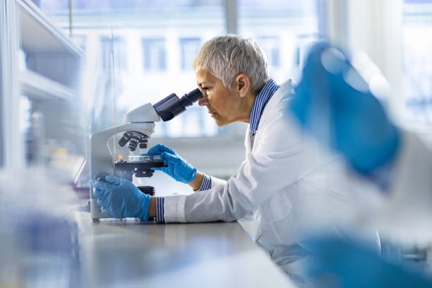 Mature chemist working on a microscope in laboratory. Profile view of a senior female scientist working on a microscope in laboratory. doctor lifestyle stock pictures, royalty-free photos & images