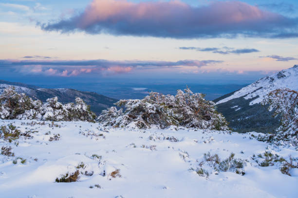 istock Snowy landscape at sunset 1209430323