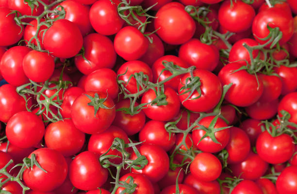 volles bild mit tomaten frische und healty lebensmittel - fruit tomato vegetable full frame stock-fotos und bilder