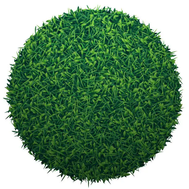 Vector illustration of Green globe of grass isolated on white background