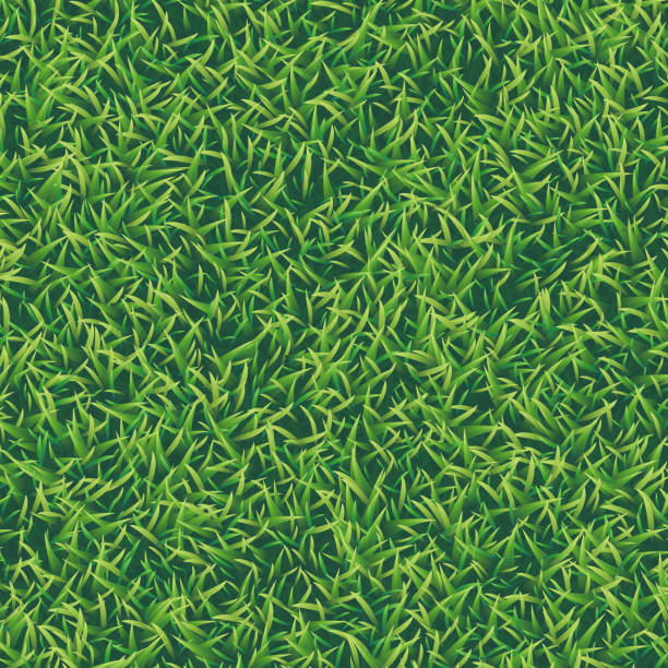zielona trawa realistyczne teksturowane tło, widok z góry - backgrounds color image directly above full frame stock illustrations