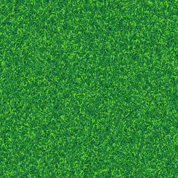 緑の草リアルなテクスチャの背景、トップビュー - backgrounds color image directly above full frame点のイラスト素材／クリップアート素材／マンガ素材／アイコン素材