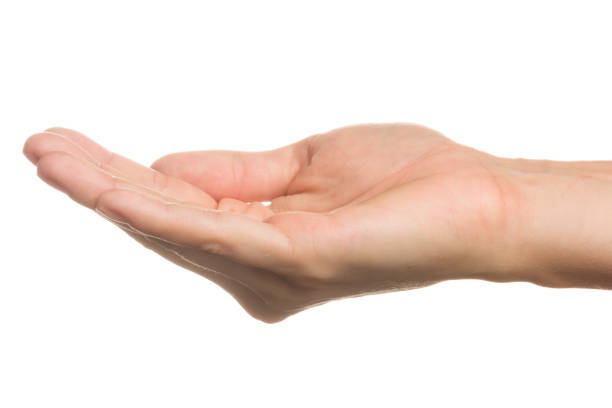 istock Open girl's hand  isolated on white background. gesture 1209432730