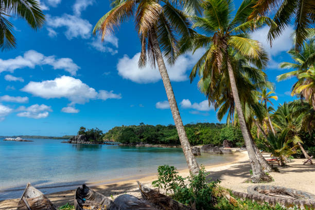 paradise, vacker sandstrand i madagaskar, ile saint marie. ön - madagaskar bildbanksfoton och bilder