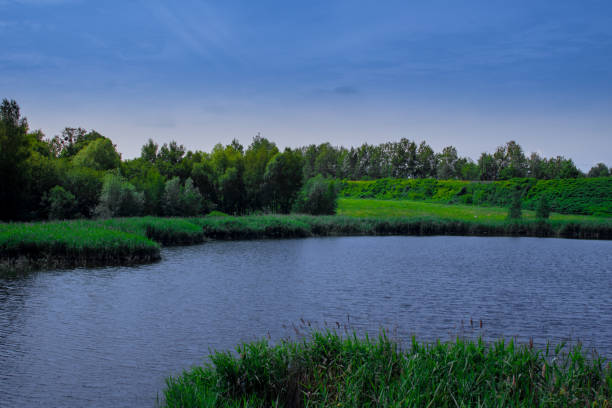 istock Bytom Frog pits. Landscape of the Bytom Park. 1209434771
