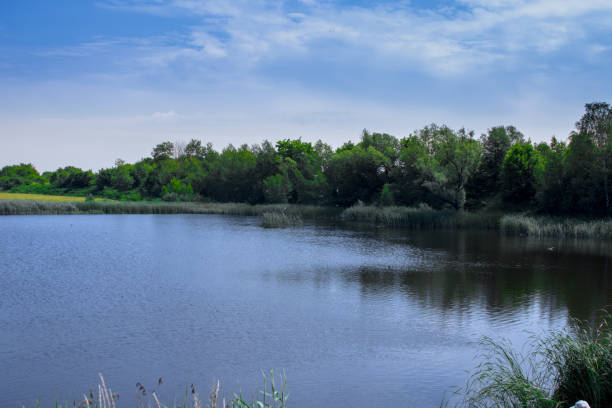 istock Bytom Frog pits. Landscape of the Bytom Park. 1209436949