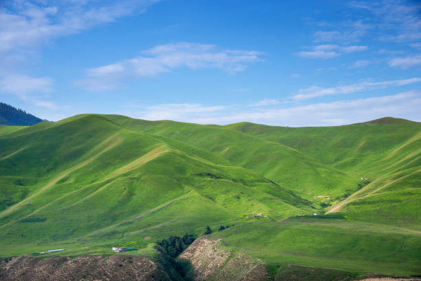 istock Green alpine meadows in mountain ranges with blue sky 1209437357