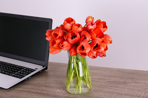 Fresh flower composition, bouquet of darwin hybrid tulips with black and white laptop computer, white wall background. Office romance concept. Copy space, close up, top view, flat lay.
