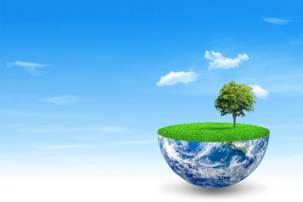 istock Green tree growth on blue planet earth with blue sky and white clouds in background. 1209441714