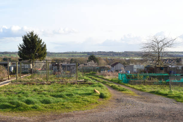 istock Allotment plot or community garden shared by multiple owners to grow your own vegetables and food 1209442315