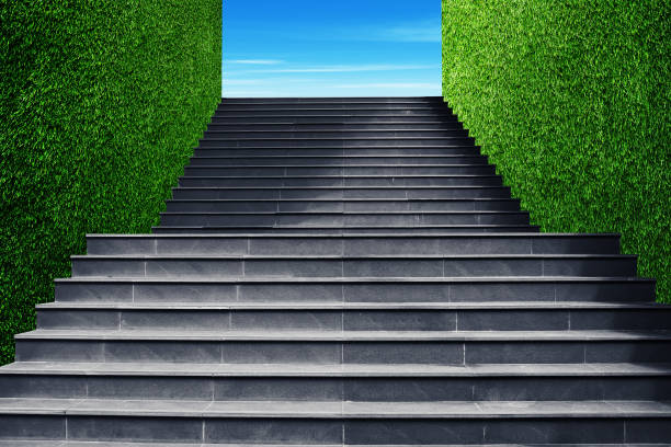 istock Front view architecture of concrete staircase flanked with green artificial grass and blue sky in background. 1209442486