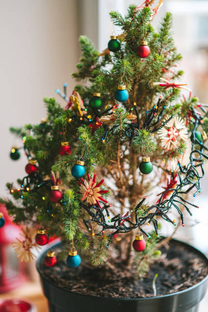 istock Close-Up Of Christmas Tree At Home 1209442697