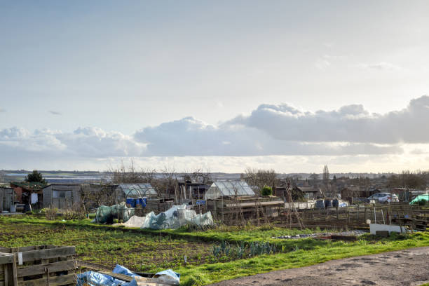 istock Allotment plot or community garden shared by multiple owners to grow your own vegetables and food 1209444066