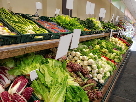 Fresh organic Vegetables on shelf in supermarket. Vitamins and minerals. Healthy food concept. Bio Fennel, tomatoes, artichokes, lettuce, cauliflower, broccoli, peppers. Without price. Mock-up