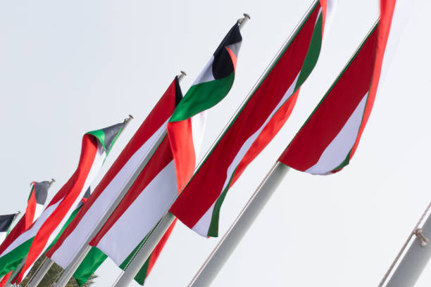 istock Multiple Kuwait national flags flying during the day at a event in Qatar 1209445965